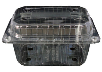 Caserola fructe L011-250gr